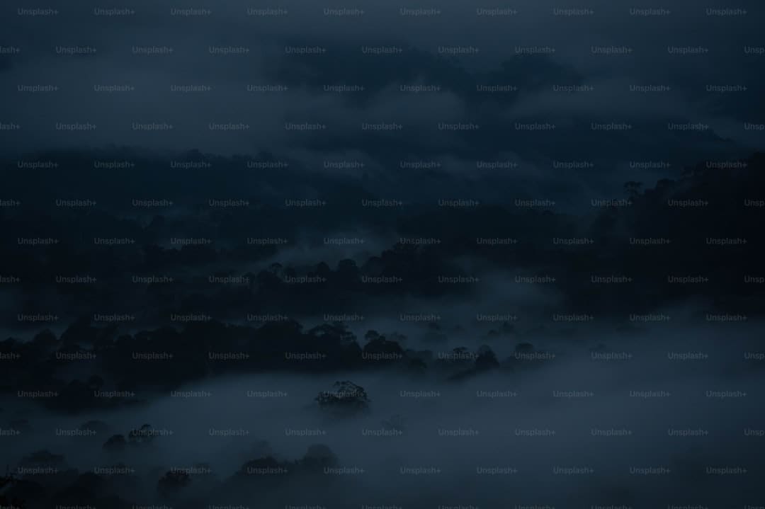 刚刚，西安马拉松赛组委会严正声明！